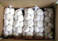pure white garlic