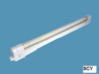 Light Fixture