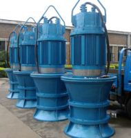 Axial Flow Pump