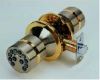 Electronic Locks