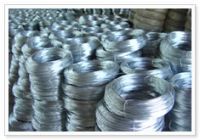 galvanized wire