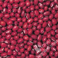 Adzuki bean