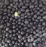 black soyabean