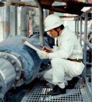 ship pre-purchase inspection