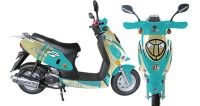 48V Electric Motorcycle