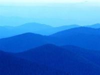DIRECT BLUE 106