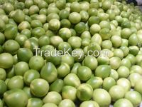 2016 New Crop Honey Pomelo, Chinese grapefruit