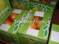 2016 New Crop Honey Pomelo, Chinese grapefruit