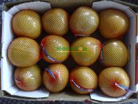 2016 New Crop Honey Pomelo, Chinese grapefruit