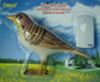 https://cn.tradekey.com/product_view/Bird-Wireless-Doorbell-55172.html