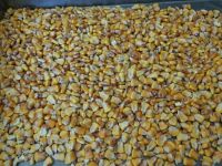 Yellow corn