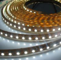 LED And SMD  Lamp Or Light