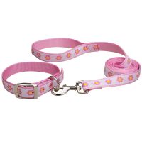 dog fashion collar