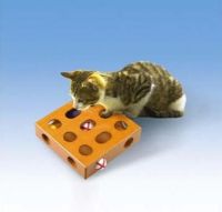 cat toy