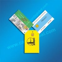 Contact IC card