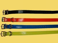 Pet Collar;dog collar;pet strap