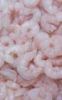 Frozen Pud Red Shrimp