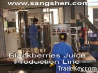 Blackberries Juice Production Line