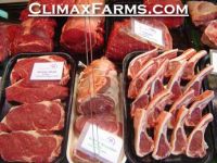 Meat - Mutton - Beef - Poultry