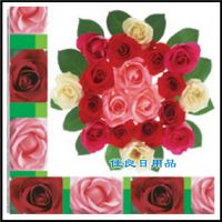 Color Napkin001