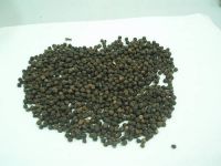 Black pepper