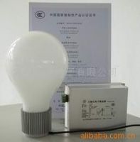 HIGH FREQUENCY ELECTRODELESS DISCHARGE LAMP
