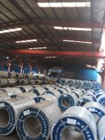 PPGI/PPGL Color Coated Steel Sheet in Coils