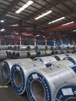 PREPAINTED Galvalume Steel In Coils (PPGL)