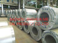 HDGI Galvanized Steel Sheet in Coils