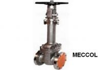 Cryogenic Valve