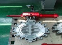 Butterfly Valve