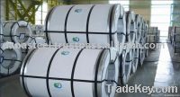 Steel Coils (Galvanized Coil | Hot Rolled | Hot Dipped)