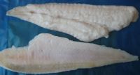 Kingclip Fillets IQF