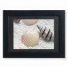 Digital Photo Frame-0800
