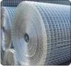 Welded Wire Mesh From China