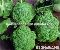 fresh broccoli on sale