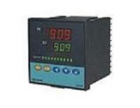 .P SERIES HIGH PRECISION MICROCOMPUTER TEMPERATURE
