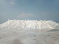 SALT