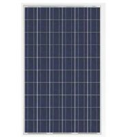230W Polycrystalline solar panel