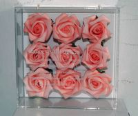 Acrylic Frame