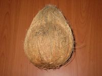 Coconuts