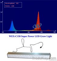 LED greenhouse grow light