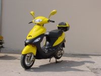 Fish Scooter