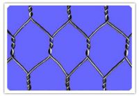 Hexagonal Wire Mesh