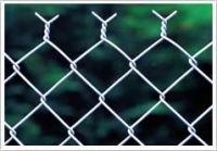 Chain Link Fence