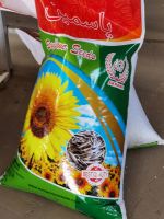 Sunflower Seed Kernel