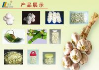 Fresh Garlic Ã¯Â¼? Garlic SliceÃ¯Â¼? Garlic Cloves
