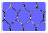 hexagonal wire netting