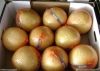 Honey Pomeo