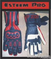 Motorbike Racing Gloves